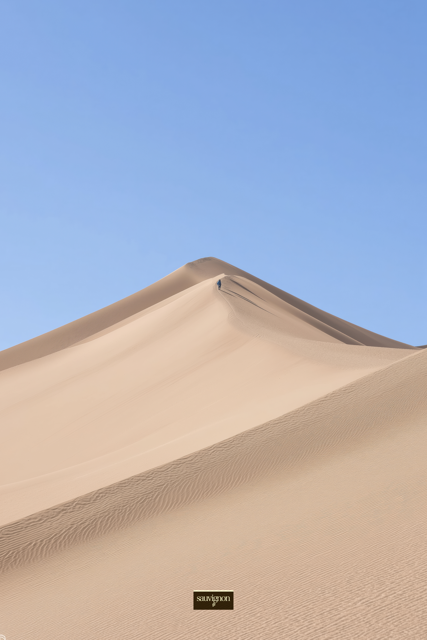 sauvignon dune