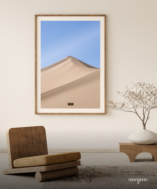 sauvignon dune